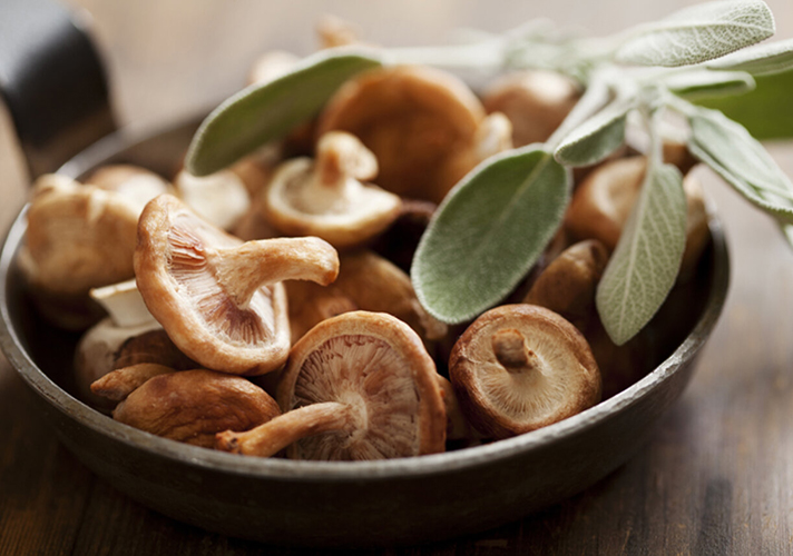 Teknologi pemprosesan cendawan shiitake iqf